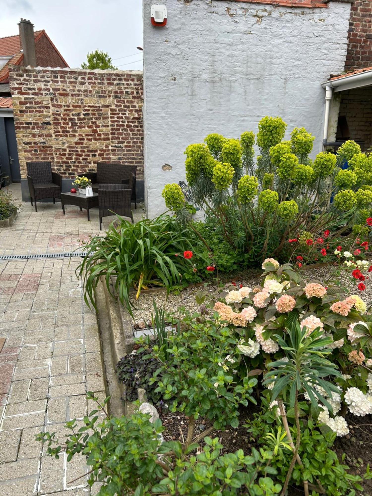 Appartement Avec Jardin 3 Couchages Proche Port Des Fontinettes 알케스 외부 사진