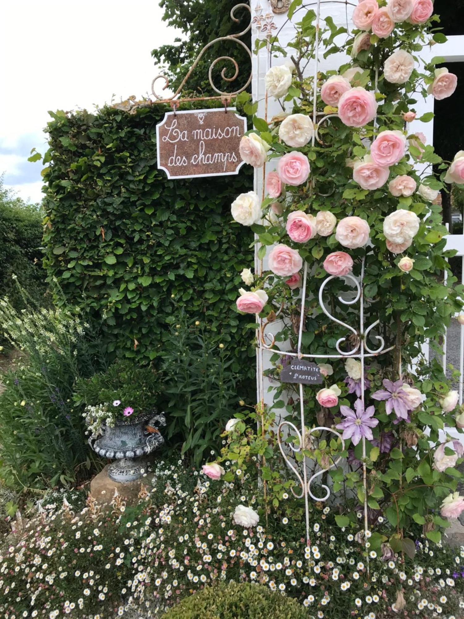 Appartement Avec Jardin 3 Couchages Proche Port Des Fontinettes 알케스 외부 사진